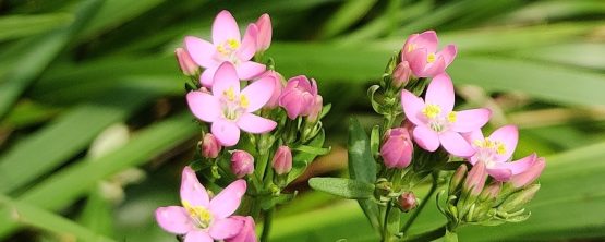 IMG_20230620_120631 (2)